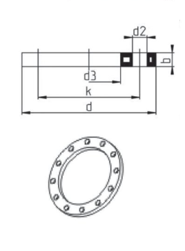 PP Bray Steel Backing Ring ANSI {Fiber Reinforced)